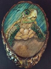 Baby Sea Turtle Art - Wood burning - hand painted - 6×9 oval - Beautiful picture