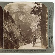Yosemite Valley California Trail Stereoview c1903 Underwood National Park H1591 picture