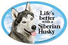 Life's better with a Siberian Husky 6