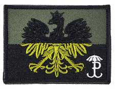 262 POLISH ARMY EAGLE CAMO PATCH PW GROM - FLAG OF POLAND  picture