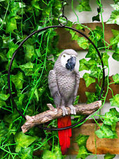 Hanging Congo African Grey Parrot Perching On Branch With Metal Ring 13.5