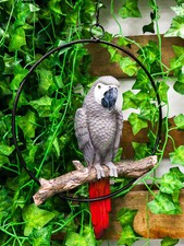Hanging Congo African Grey Parrot Perching On Branch With Metal Ring 13.5" H picture