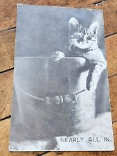 Vintage 1907 Humorous Litho Postcard Undivided Back NEARLY ALL IN Cat in Bucket picture