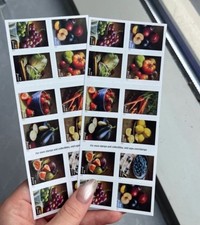 Fruit and Vegetable-20 Pcs Per Sheet, 5 Sheets, Total 100 Pcs picture