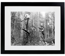 Two Loggers Springboards Oregon Lumber Jacks Matted & Framed Picture Photo picture