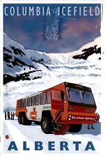 Canadian Icefield Wedding Postcard - Eco-Friendly Design picture