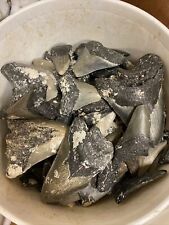BULK MEGALODON TOOTH SHARDS AND FRAGMENTS 1/4, 1/2, And 3/4 TEETH By The Pound picture