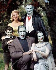 The Munsters Rare Cast 24x36 inch Poster picture