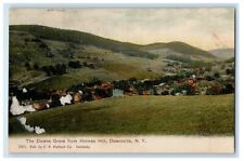 c1905 The Downs Grave From Holmes Hill Downsville New York NY Antique Postcard picture