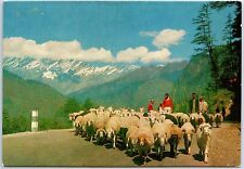 VINTAGE CONTINENTAL SIZED POSTCARD MANALI IN THE HIMALAYAS INDIA POSTED 1973 picture