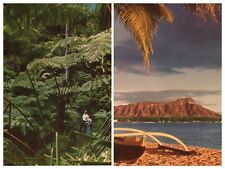 Set of 1947 Vintage Hawaii Nu-Nui Jumbo Postcards Collectible Memorabilia Views picture