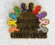 Cancer Sucks Pinback Button Whatever Color Awareness Ribbon Pin picture