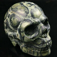 Polished Natural Kambaba Jasper Quartz Crystal Carved Skull Stone 2
