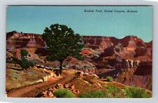 Grand Canyon AZ-Arizona, Kaibab Trail, Scenic, Trail, Vintage Postcard picture