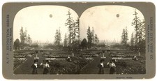 WASHINGTON STEREOVIEW - Seattle - AYP Expo - Aerial Balloon - Celery City View picture