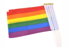 20 Rainbow LGBT Gay Pride Carnival Festival Hand Waving Flags M-2 picture