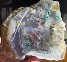 Chrysocolla Copper Petrified Wood Indonesian Rare Beautiful Natural Untreated #D picture