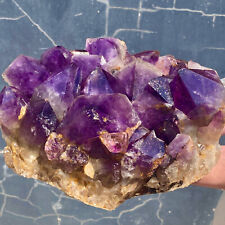 12.01LB  natural amethyst geode quartz cluster crystal specimen healing. picture