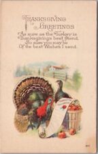 c1910s THANKSGIVING Postcard Turkeys / Apple Basket / 