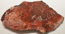 WRG- Rosetta Lace Agate Slab 178 grams Mexico Lapidary Mexican picture