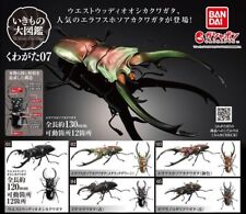 Gashapon The Diversity of Life on Earth Stag Beetle Figure vol.7 Complete Set picture