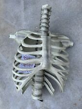 Home Depot 12ft Skeleton Replacement Rib Cage Repair Parts 12 ft Part M picture