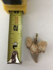 Fossilized Shark Tooth Necklace - Authentic Prehistoric Shark Tooth picture