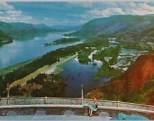 View from Crown Point Columbia River Gorge OR 1955 Vintage Postcard Unposted picture