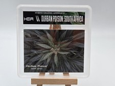 Horizontal Custom Slab Durban Poison Hemp Cards Series ll 1996 Marijuana HGA picture