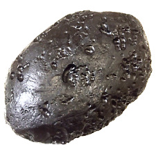 tektite indochinite space rock impactite meteorite impact stone 134 g oval picture