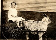 Goat Cart serious girl in cart with big wire spoked wheels RPPC Postcard RR1 picture