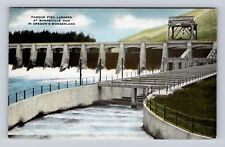 Bonneville Dam OR-Oregon, Salmon Fish Ladders, Columbia River, Vintage Postcard picture