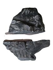 Fossil Rocks dated between 300 to 310 Million yrs OLD carboniferous Period (3) picture