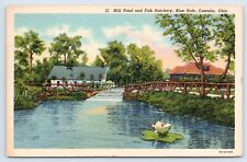 Mill Pond And Fish Hatchery Blue Hole Castalia Ohio 1951 Erie County OH Postcard picture
