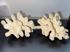 Pair Of Natural White Branch Coral Reef Specimens Coastal Nautical Beach 2lb 6oz picture
