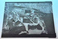 Vtg. Photo Negative-Supply Mule with Explosives-Pikes Peak Railway-Early 1900's picture