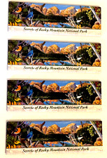 Set of 4 Rocky Mountain National Park Souvenir Fridge Magnet 5