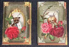 2 ozone soap Victorian trade cards embossed dogs roses book with clasp Vintage picture