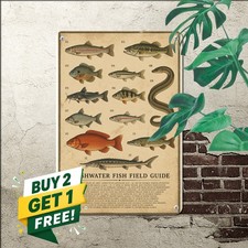Freshwater Fish Identification Chart Vintage Illustrated Species Decor 8x12 picture