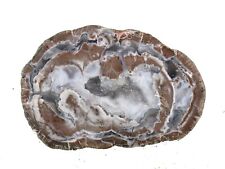 Druzy Mist Thunderegg Halves Cut and Polished from Mexico picture