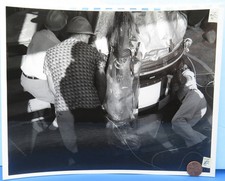 USAF NASA press PHOTO '60 vtg Mercury Capsule / Mating to MR-1 186 picture