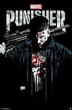 The Punisher  Poster key art picture