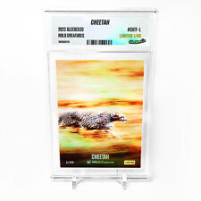 CHEETAH Card 2023 GleeBeeCo Holo Creatures Too Fast #CHTF-L /49 - Amazing picture