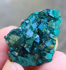 High Quality Dioptase Specimen From Namibia, 12gm, US TOP Crystals picture