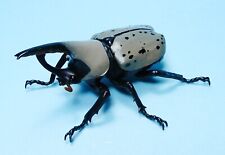 Bandai The Diversity of Life on Earth Insect 3 Hercules beetle white US seller picture