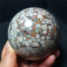 TOP 529G Natural Polishing Ocean Jasper Ecology Agate  Ball Healing  CA860 picture