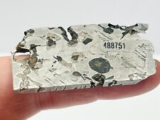 SEYMCHAN 16.78g Pallasite Meteorite, Etched Rectangular cut slice, IMCA Sellers picture