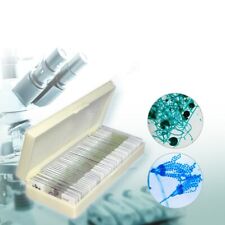 50pcs Prepared Microscope Glass Slides Microbial Bacterial Specimen Slices picture