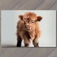 POSTCARD Mini Moo Adorable Baby Highland Cow Cute Calf Fuzzy Cuddly Cow picture