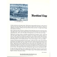 Marshland Elegy Aldo Leopold 1970s Poem Retro Kitsch Wall Art SG4 picture
